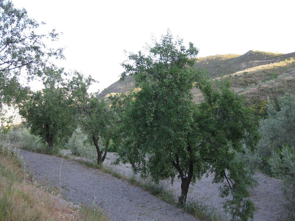 Bancal de Los Pérez Carataunas Exterior foto