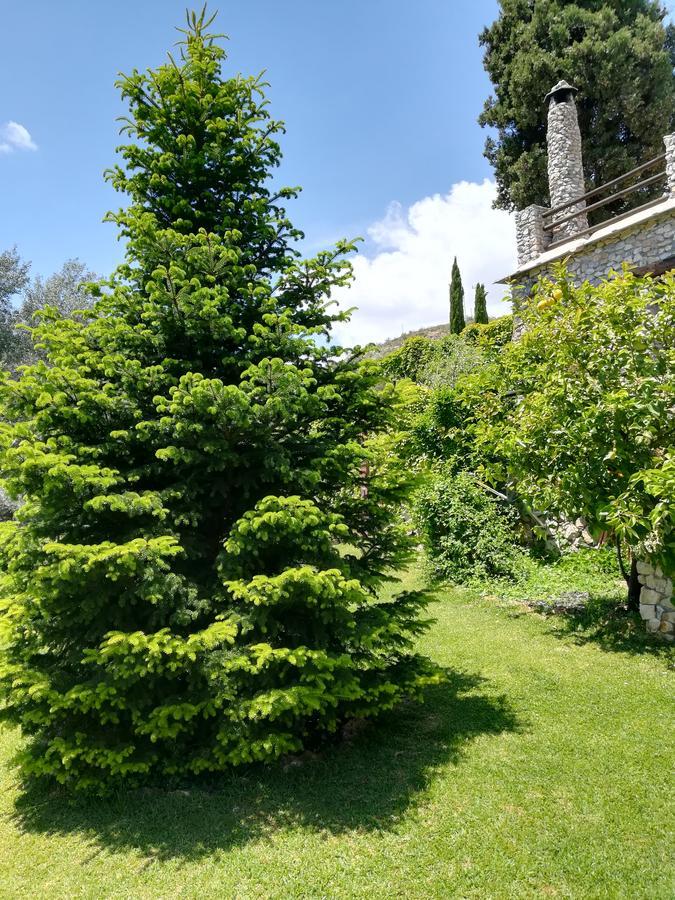 Bancal de Los Pérez Carataunas Exterior foto